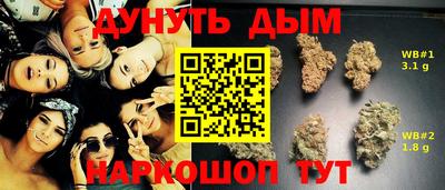 индика Ливны